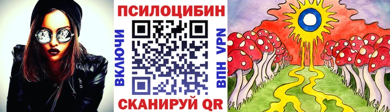 Псилоцибиновые грибы мухоморы купить закладку Камышлов
