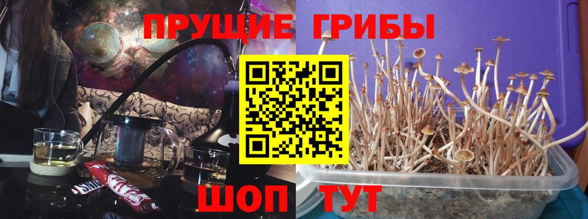 Галлюциногенные грибы Magic Shrooms  Вход с VPN  Камышлов 