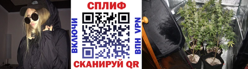 Марихуана Bruce Banner  Камышлов 