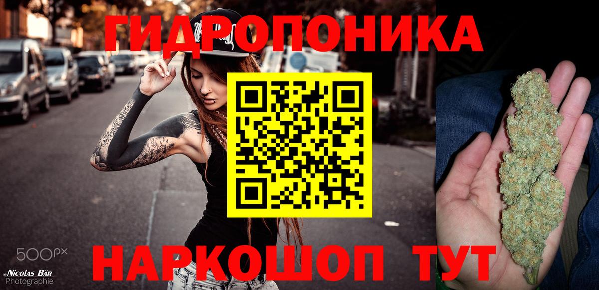 Бошки Шишки семена Камышлов
